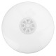 Bluetooth WIFI LED Ceiling Light RGB Music Speeker Dimmable Lamp APP Remote