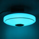 Dimmable RGBW LED Music Ceiling Lights with Bluetooth Speaker Cellphone APP Control Color Changing LED Flush Mount Down Light Fixture AC220V/110~220V