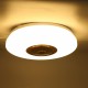 LED Ceiling Lamp Dimmable APP Control 85-265V Smoke Alarm Modern Minimalist Acrylic Round Lighting Living Room Lamp Bedroom Study Home Lighting Lamp