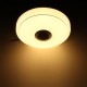 Modern Music Ceiling Light 48W 36LED Bluetooth Speaker Flush Down Lamp