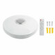 RGBW 50cm LED Music Ceiling Light bluetooth Speaker Down with Remote Control