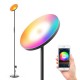 AC100-240V 24W Smart Wifi RGB+CCT 2000LM Floor Lamp Dimmable APP Voice Control Works with Google Home Alexa