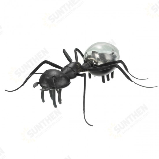 Educational Solar Powered Bee Ant Robot Toy Gadget Gift