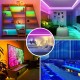 2*10M WiFi APP RGB 5050 Non-waterproof LED Strip Light+24Keys Remote Control for Alexa Google Home 12V Christmas Decorations Clearance Lights