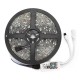 2PCS 5M 5050 SMD RGB Waterproof LED Strip Lights + Wifi Alexa Amazon Controller + DC12V Power Supply 2PCS 5M 5050 SMD RGB Waterproof LED Strip Lights + Wifi Alexa Amazon Controller + DC12V Power Supply