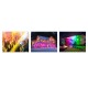 2*5M LED Strips WiFi Wireless Smart Phone APP Control 300 LED Light Waterproof IP65 Flexible RGB 24 Buttons Christmas Decorations Clearance Lights