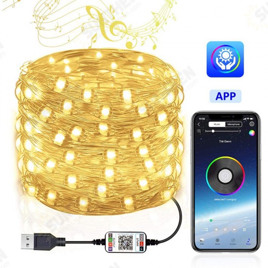 Smart for Alexa WiFi LED RGB Fairy String Light USB Waterproof Garden Decor Lamp