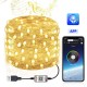 Smart for Alexa WiFi LED RGB Fairy String Light USB Waterproof Garden Decor Lamp