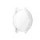 Transparent White5 