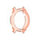 Orange4 