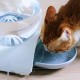 2.8L Automatic Pet Water Dispenser Bowl Transparent Container Cat Dog Drinking Machine Feeder Supplies