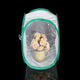 Praying Mantis Stick Insect Cage Butterfly Chameleon Housing Enclosure Case Bag Praying Mantis Stick Insect Cage Butterfly Chameleon Housing Enclosure Case Bag