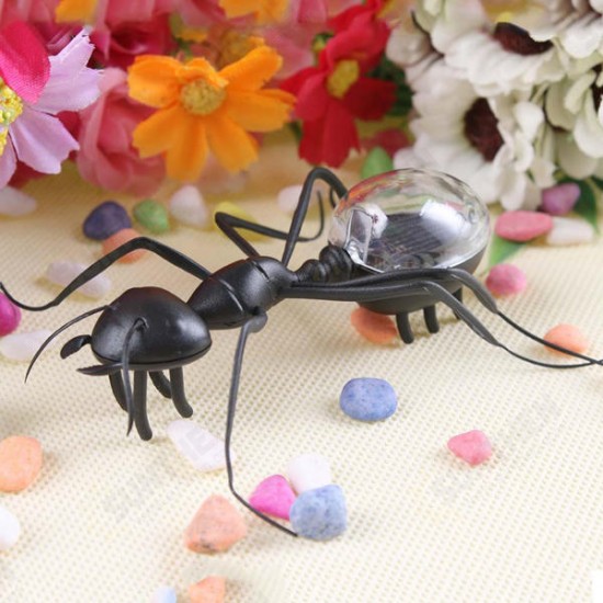 Educational Solar powered Ant Energy-saving Model Toy Children Teaching Fun Insect Toy Gift