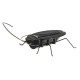 NEW Educational Solar powered Cockroach Toy Gadget Gift