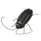 NEW Educational Solar powered Cockroach Toy Gadget Gift