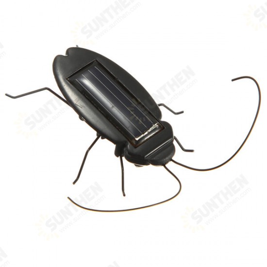 NEW Educational Solar powered Cockroach Toy Gadget Gift