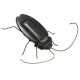 NEW Educational Solar powered Cockroach Toy Gadget Gift