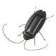 NEW Educational Solar powered Cockroach Toy Gadget Gift