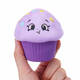 Cartoon Ice Cream Squishy 8 CM Slow Rising With Packaging Collection Gift Soft Toy