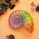 Conch Squishy 12.8*10.5.5CM Slow Rising Squeeze Cartoon Toy Gift Fun Decor