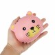 Squishy Tiger Face Ball Bun 10cm Soft Sweet Slow Rising Original Packaging Collection Gift