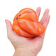 14cm Squishy Pumpkin Poop Super Slow Rising Toy Tag Gift