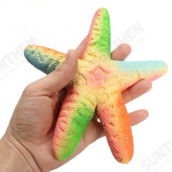 Squishy Starfish 14cm Soft Slow Rising With Packaging Collection Gift Decor Toy Squishy Starfish 14cm Soft Slow Rising With Packaging Collection Gift Decor Toy