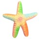 Squishy Starfish 14cm Soft Slow Rising With Packaging Collection Gift Decor Toy Squishy Starfish 14cm Soft Slow Rising With Packaging Collection Gift Decor Toy