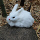 15cm Mini Realistic Cute White Plush Rabbits Fur Lifelike Animal Furry Easter Bunny Stuffed Plush Toy