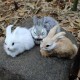 15cm Mini Realistic Cute White Plush Rabbits Fur Lifelike Animal Furry Easter Bunny Stuffed Plush Toy