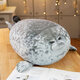 40/60 CM Chubby Blob Seal Pillow Stuffed Cotton Plush Ocean Animal Cute Toy for Gifts