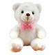 Girls Baby Cute Soft Stuffed Plush Teddy Bear Toy with LED Light Up for Kids Xmas Gift Girls Baby Cute Soft Stuffed Plush Teddy Bear Toy with LED Light Up for Kids Xmas Gift