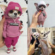 Handmade Doll Resin Standing Puppy Plush Toy For Ornaments Furniture Decorations Fashionable Animal Clay Doll