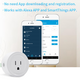 Mini Smart WiFi Switch Power Socket Outlet US Plug Support 3 Type Echo Device Alexa/Smart Things App Mini Smart WiFi Switch Power Socket Outlet US Plug Support 3 Type Echo Device Alexa/Smart Things App