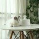Pet Water Fountain Automatic Dispenser Ceramic Feeder Dog Cats Drinker Pet Bowl