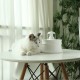 Pet Water Fountain Automatic Dispenser Ceramic Feeder Dog Cats Drinker Pet Bowl Pet Water Fountain Automatic Dispenser Ceramic Feeder Dog Cats Drinker Pet Bowl
