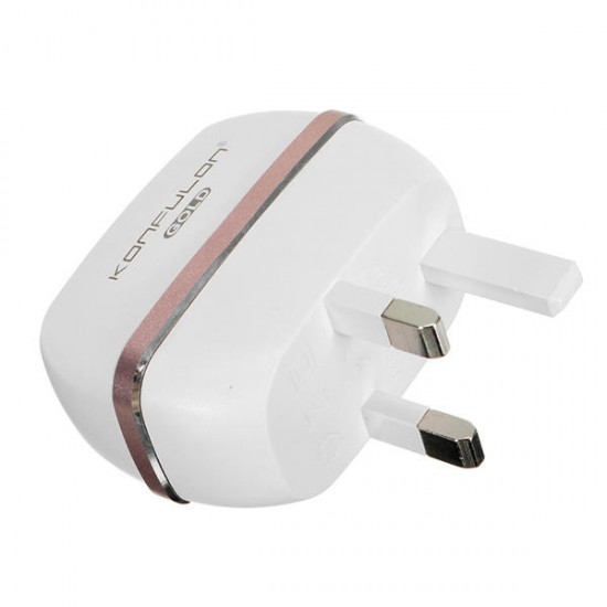 C23 double ports 5V 2.4A Micro USB Charger BS