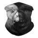 Multifunction Face Scarf Cover Mask,Polyester Sun Dust Mask-Dust Bandanas,Headband,Wind-proof Dust-proof UV Protection Neck Gaiter for Fishing Motorcycling Running Multifunction Face Scarf Cover Mask,Polyester Sun Dust Mask-Dust Bandanas,Headband,Wind-proof Dust-proof UV Protection Neck Gaiter for Fishing Motorcycling Running
