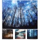 Forest World Map Tapestries Wall Hanging Paper Tapestry Bedspread Dorm Decor