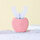  Pink5 