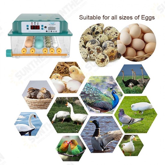 6 Eggs Incubator Egg Incubator Fully Automatic Incubator Household Brooder Temperature Controller with Automatic Turner 6 Eggs Incubator Egg Incubator Fully Automatic Incubator Household Brooder Temperature Controller with Automatic Turner