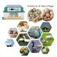 6 Eggs Incubator Egg Incubator Fully Automatic Incubator Household Brooder Temperature Controller with Automatic Turner 6 Eggs Incubator Egg Incubator Fully Automatic Incubator Household Brooder Temperature Controller with Automatic Turner