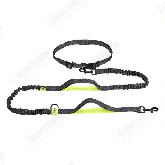 Adjustable Elastic Waist Belt Leash Hands Free Pet Dog Walking Hiking Running