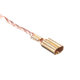 100Pcs 6.3x12x22mm Power Tool Carbon Brush Replacement For Bosch 38e TSH5000 Electric Hammer 100Pcs 6.3x12x22mm Power Tool Carbon Brush Replacement For Bosch 38e TSH5000 Electric Hammer