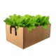 40X30X20cm Grow Bag Planter Vegetable Tomato Potato Carrot Garden Planting Bag 40X30X20cm Grow Bag Planter Vegetable Tomato Potato Carrot Garden Planting Bag