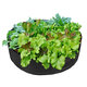 50/90 Gallon Planter Flower Grow Bag Vegetable Box Garden Planting Non-woven V 50/90 Gallon Planter Flower Grow Bag Vegetable Box Garden Planting Non-woven V