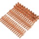 60pcs Consumables Extended Long Tip Electrodes and Nozzles for PT31 LG40 40A Air Plasma Cutter 60pcs Consumables Extended Long Tip Electrodes and Nozzles for PT31 LG40 40A Air Plasma Cutter