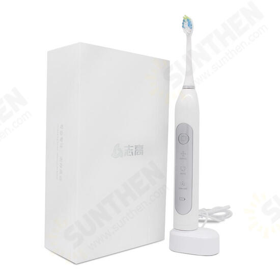 CG-105 Multi-purpose Sonic Electric Toothbrush 3 Brush Modes Wireless USB Rechargeable Toothb