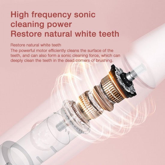T501 Electric Toothbrush High-frequency Vibration Three Cleaning Modes Electric Toothbrush Long Battery Life IPX7 Waterproof Electric Toothbrush