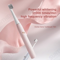 T501 Electric Toothbrush High-frequency Vibration Three Cleaning Modes Electric Toothbrush Long Battery Life IPX7 Waterproof Electric Toothbrush T501 Electric Toothbrush High-frequency Vibration Three Cleaning Modes Electric Toothbrush Long Battery Life IPX7 Waterproof Electric Toothbrush